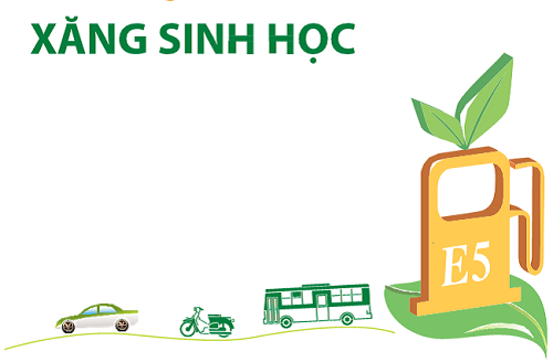 Lộ trình sử dụng xăng nhiên liệu sinh học ở Việt Nam (4/12/2019)